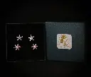 nakshatra_glow_box[1].webp