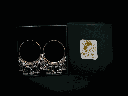 orrya_box[1].png